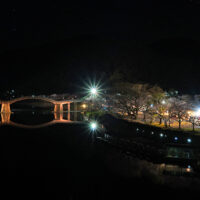 錦帯橋の夜桜