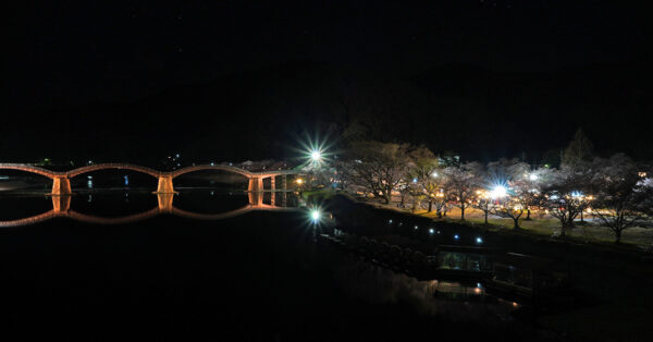 錦帯橋の夜桜